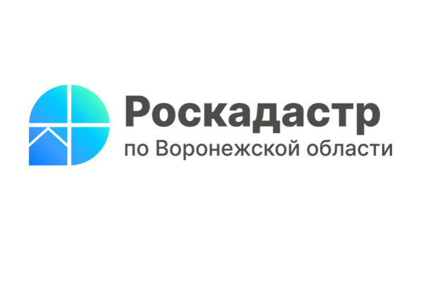 В Воронежской области оцифровано 100% кадастровых дел.