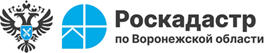 Землеустроительную документацию теперь выдают в течение суток.