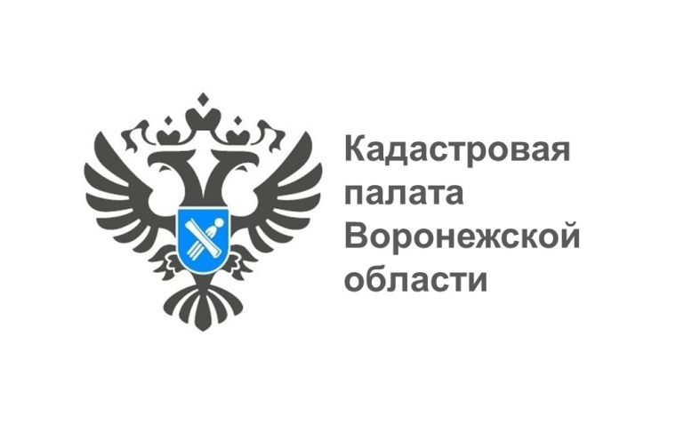 Эксперты воронежского Росреестра ответили на самые волнующие родителей вопросы. Эксперты воронежского Росреестра ответили на самые волнующие родителей вопросы.